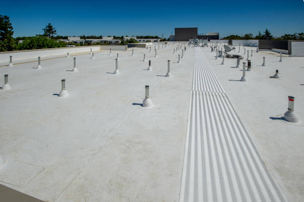 Best Roof Coating and Sealing  in Clayton, NJ